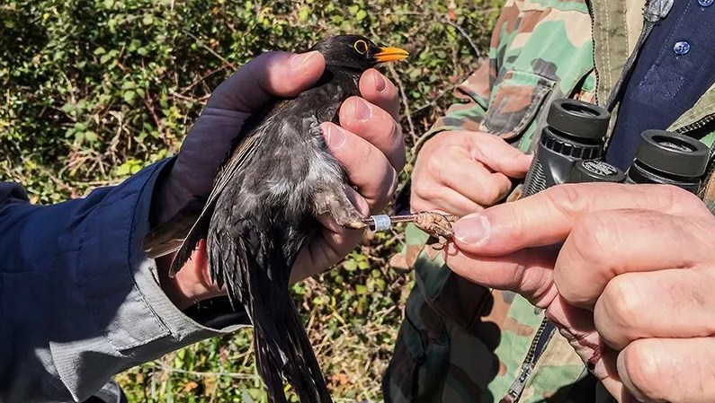 Новость Сочи: В орнитологический парк Сочи вернулись 203 вида перелетных птиц