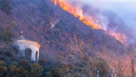 Новость Сочи: Лесной пожар приблизился на расстояние в 150 метров к жилым домам в Гагре