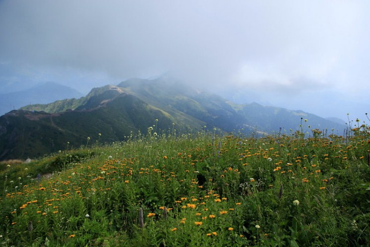 Новость Сочи: Новая пешая тропа через альпийские луга открылась в Сочи