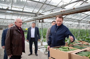 Мэр Сочи Алексей Копайгородский посетил Агрофирму и обсудил вопросы обеспечения продовольственной безопасности