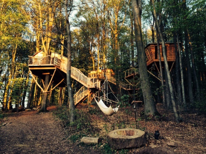 В Сочи для туристов откроют отели с домами на деревьях