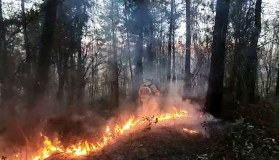 Новость Сочи: Лесной пожар в Лазаревском районе Сочи полностью ликвидирован