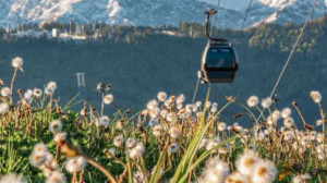Новость Сочи: В горах Сочи 28 апреля 2024 года стартует летний сезон