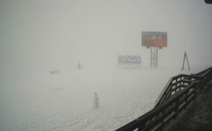 88 сантиметров снега выпало на Красной Поляне