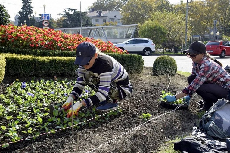 Новость Сочи: В Сочи приступили к высадке 360 тысяч сезонных цветов на улицах города