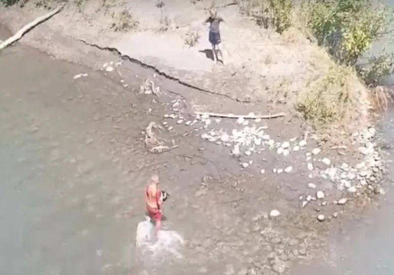 Новость Сочи: Дети без надзора у реки с опасным течением (привычка-опасно) спасают щенка 