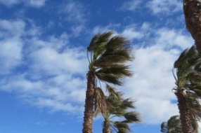 Новость Сочи: Сильный ветер в Сочи ожидается 18 апреля 2024